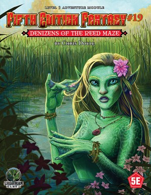 GMG55519 Dungeons And Dragons RPG: Module 19: Denizens Of The Reed Maze published by Goodman Games