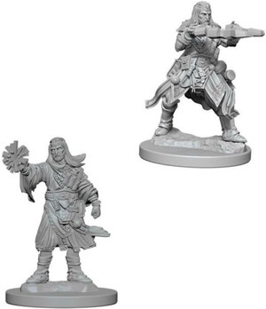 2!WZK73411S Pathfinder Deep Cuts Unpainted Miniatures: Human Male Wizard published by WizKids Games