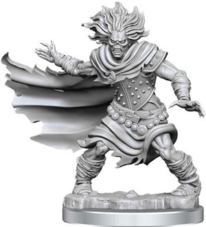 DMGWZK75052 Dungeons And Dragons Frameworks: Wight (Damaged) published by WizKids Games