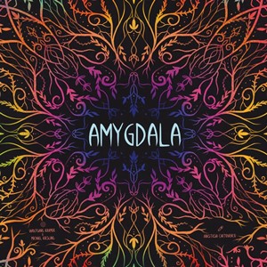 GAB494111 Amygdala Board Game published by Game Brewer