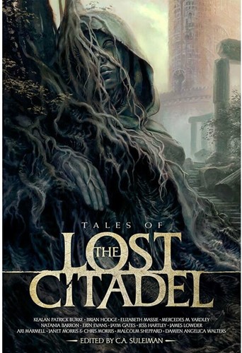 Dungeons And Dragons RPG: The Lost Citadel