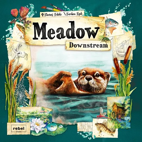 Meadow Board Game: Downstream Expansion