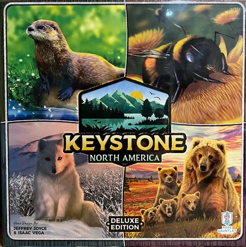 RGB01002 Keystone North America Board Game Deluxe Edition published by Rose Gauntlet Entertainment