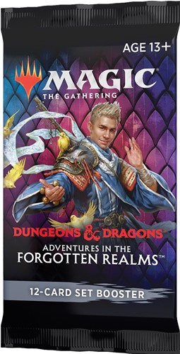 MTG Adventures In The Forgotten Realms Set Booster Pack