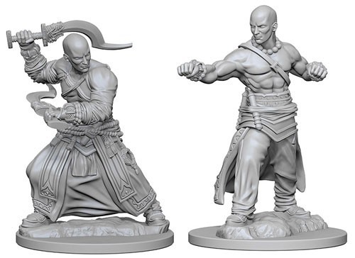 Pathfinder Deep Cuts Unpainted Miniatures: Human Male Monk