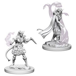 2!WZK73202S Dungeons And Dragons Nolzur's Marvelous Unpainted Minis: Tiefling Female Sorcerer published by WizKids Games