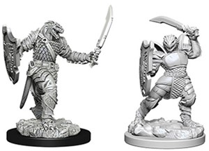 WZK73341S Dungeons And Dragons Nolzur's Marvelous Unpainted Minis: Dragonborn Female Paladin published by WizKids Games