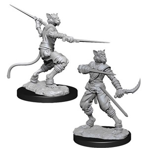 WZK73540S Dungeons And Dragons Nolzur's Marvelous Unpainted Minis: Tabaxi Male Rogue published by WizKids Games