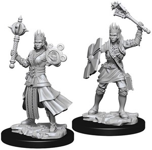 WZK73671S Dungeons And Dragons Nolzur's Marvelous Unpainted Minis: Human Female Cleric published by WizKids Games