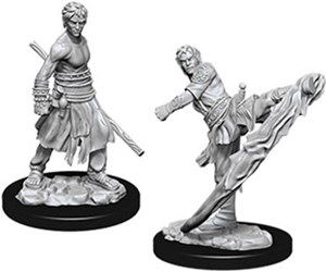 WZK73838S Dungeons And Dragons Nolzur's Marvelous Unpainted Minis: Half-Elf Male Monk published by WizKids Games