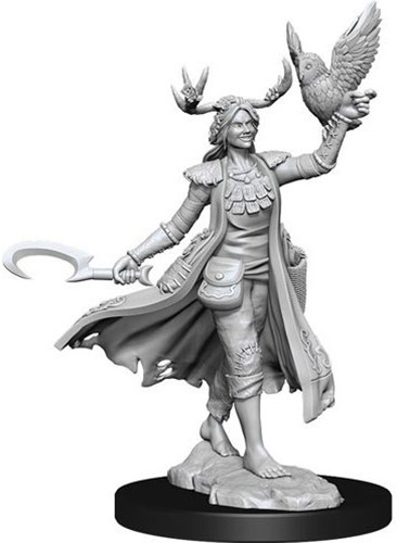 WZK75012 Dungeons And Dragons Frameworks: Human Druid Female published by WizKids Games