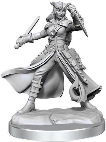 WZK75020 Dungeons And Dragons Frameworks: Tiefling Rogue Female published by WizKids Games