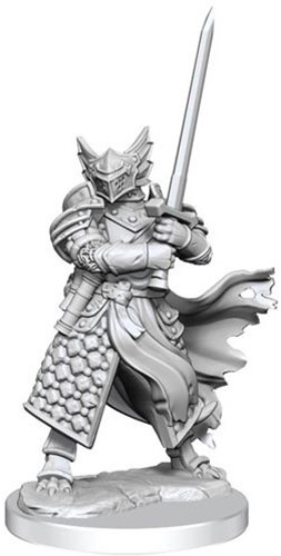 Dungeons And Dragons Frameworks: Dragonborn Paladin Male