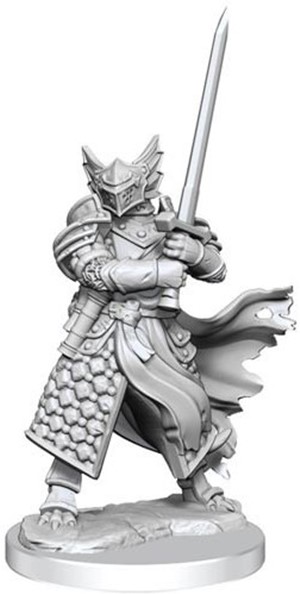 WZK75022 Dungeons And Dragons Frameworks: Dragonborn Paladin Male published by WizKids Games