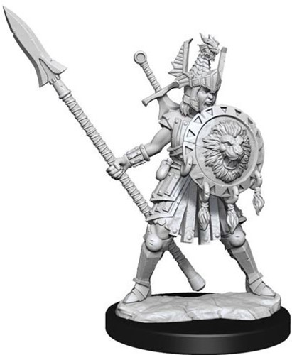 WZK75025 Dungeons And Dragons Frameworks: Human Fighter Female published by WizKids Games