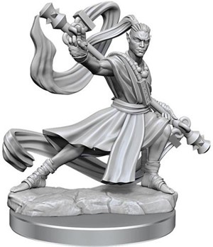 WZK75027 Dungeons And Dragons Frameworks: Elf Monk Male published by WizKids Games