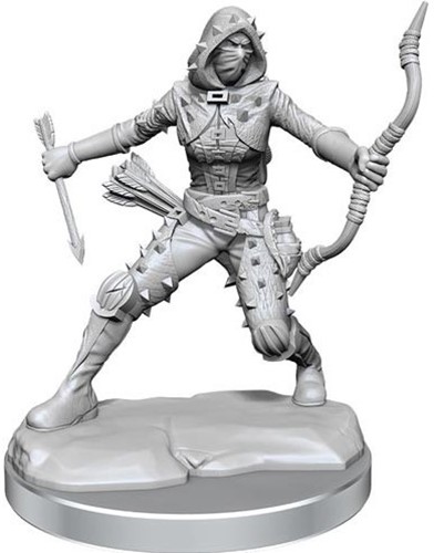 WZK75038 Dungeons And Dragons Frameworks: Human Rogue Female published by WizKids Games