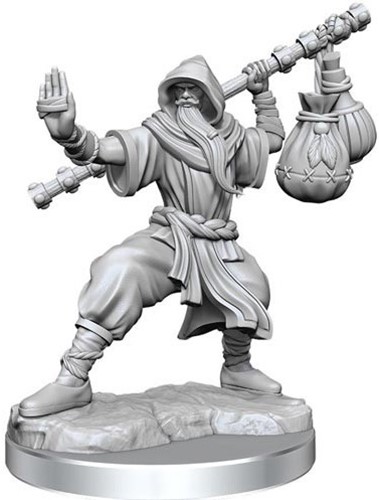 WZK75075 Dungeons And Dragons Frameworks: Human Monk Male published by WizKids Games