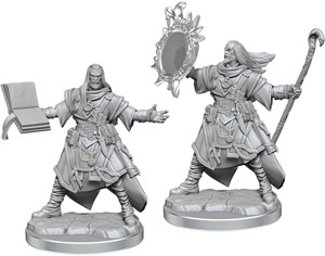 WZK77000 Pathfinder Legendary Cuts Painted Miniatures: Male Human Wizard published by WizKids Games