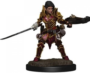 WZK77506S Pathfinder Deep Cuts Painted Miniatures: Half-Elf Ranger Female published by WizKids Games