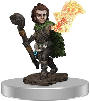 WZK77516S Pathfinder Deep Cuts Painted Miniatures: Male Gnome Druid published by WizKids Games