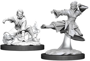 WZK90008S Dungeons And Dragons Nolzur's Marvelous Unpainted Minis: Human Female Monk 2 published by WizKids Games