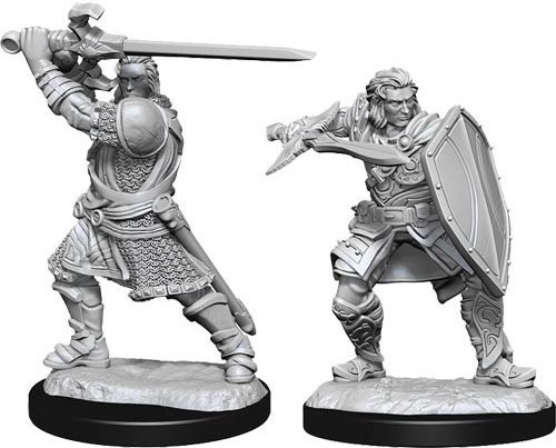 WZK90220S Dungeons And Dragons Nolzur's Marvelous Unpainted Minis: Human Paladin Male published by WizKids Games