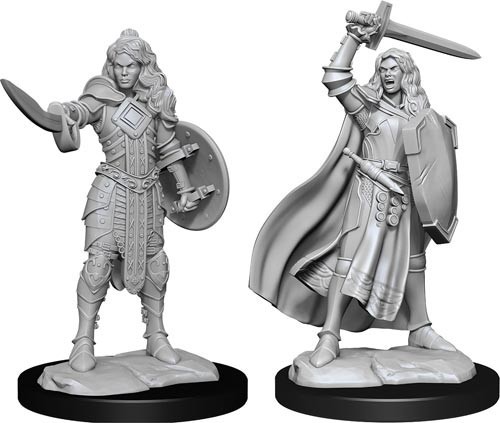 WZK90264S Pathfinder Deep Cuts Unpainted Miniatures: Human Champion Female published by WizKids Games
