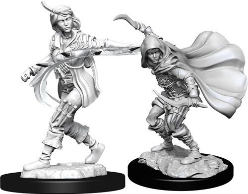 WZK90269S Pathfinder Deep Cuts Unpainted Miniatures: Human Rogue Female published by WizKids Games