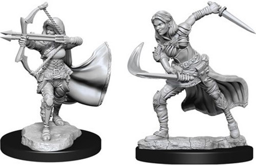 WZK90305S Dungeons And Dragons Nolzur's Marvelous Unpainted Minis: Air Genasi Female published by WizKids Games