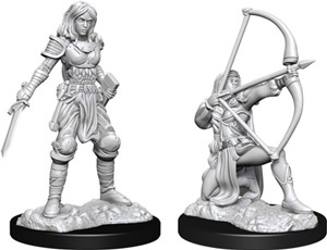 WZK90326S Pathfinder Deep Cuts Unpainted Miniatures: Human Fighter Female published by WizKids Games