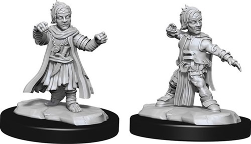 WZK90328S Pathfinder Deep Cuts Unpainted Miniatures: Halfing Monk Male published by WizKids Games