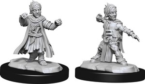 2!WZK90328S Pathfinder Deep Cuts Unpainted Miniatures: Halfing Monk Male published by WizKids Games