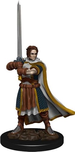 Dungeons And Dragons: Human Cleric Male Premium Figure