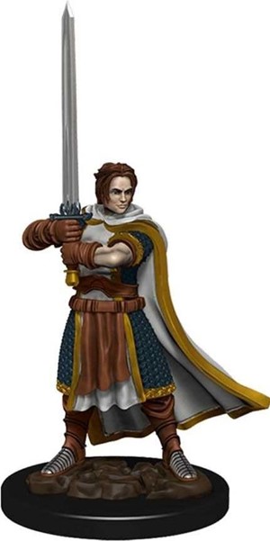 WZK93023S Dungeons And Dragons: Human Cleric Male Premium Figure published by WizKids Games