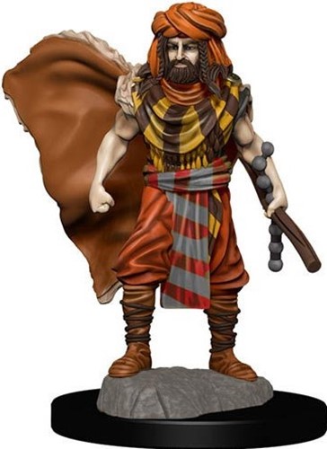 Dungeons And Dragons: Human Druid Male Premium Figure