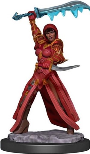 WZK93032S Dungeons And Dragons: Human Rogue Female Premium Figure published by WizKids Games