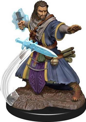 Dungeons And Dragons: Human Wizard Male Premium Figure