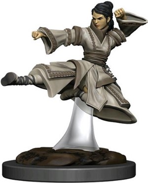 WZK93044S Dungeons And Dragons: Human Monk Female Premium Figure published by WizKids Games