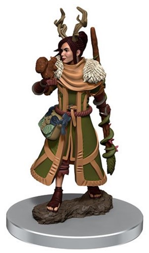 WZK93054S Dungeons And Dragons: Female Human Druid Premium Figure published by WizKids Games