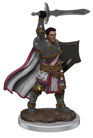 WZK93058S Dungeons And Dragons: Male Human Paladin Premium Figure published by WizKids Games