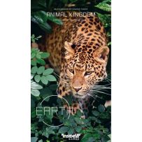 IUG022 Earth Card Game Animal Kingdom Expansion published by Inside Up Games