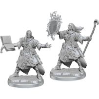 WZK77000 Pathfinder Legendary Cuts Painted Miniatures: Male Human Wizard published by WizKids Games