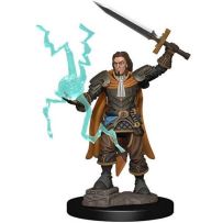 Pathfinder Deep Cuts Painted Miniatures: Human Cleric Male