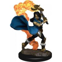 Pathfinder Deep Cuts Painted Miniatures: Human Cleric Female