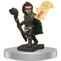Pathfinder Deep Cuts Painted Miniatures: Male Gnome Druid
