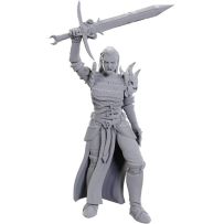 WZK90772 Dungeons And Dragons Nolzur's Marvelous Unpainted Minis: Blackguard published by WizKids Games