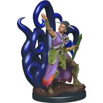 Dungeons And Dragons: Human Female Warlock Premium Figure